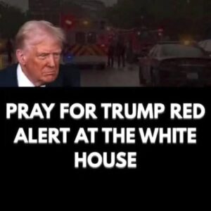 `Very Dangerous,’ ‘Concerning’ President Donald Trump Fa…