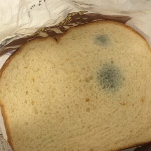 What Are These Greenish Spots on Bread? Experts Warn Against Eating It