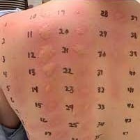 These are the consequences of sleeping with the… See more