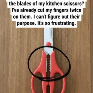 What’s the purpose of that jagged section on kitchen scissors?