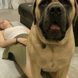 J0ven was hospitalized after being penetrat… See more